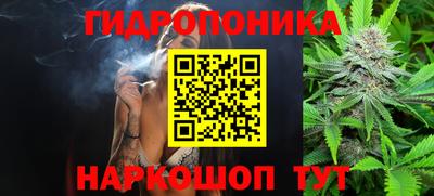 стаф Славгород