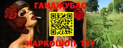 стаф Славгород